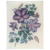 John Derian Clematis 1861 2 John Derian Clematis 1861