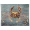 John Derian Crab (Portunno) Decoupage
