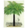 John Derian Palm Decoupage 2 John Derian Palm Decoupage