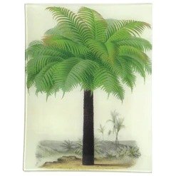 John Derian Palm Decoupage