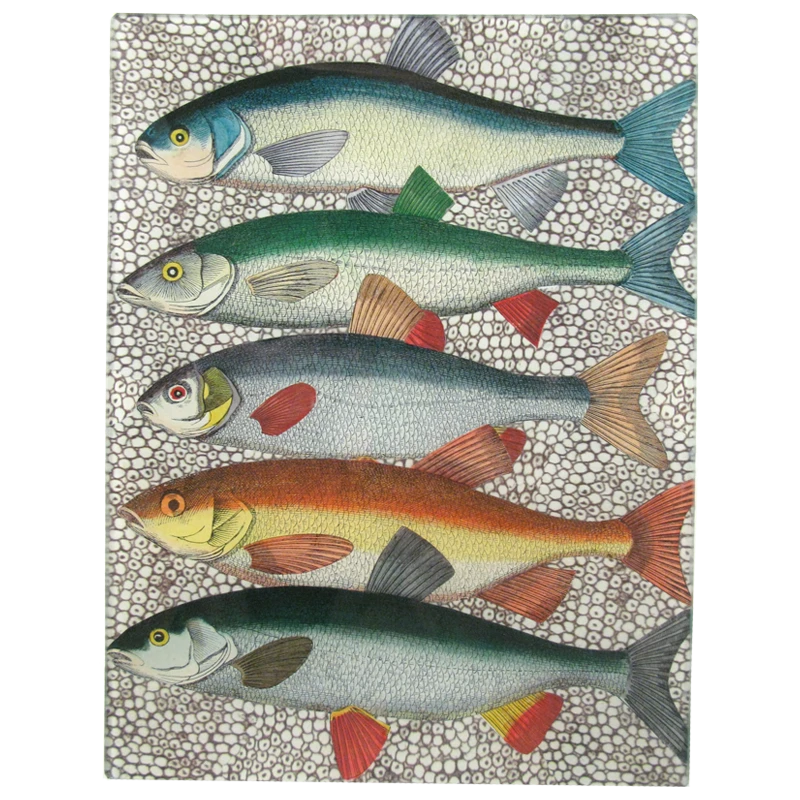 John Derian Classics Some Fish - FINAL SALE 3 John Derian Classics Some Fish - FINAL SALE