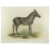 John Derian Decoupage Zebra