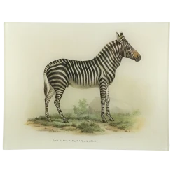 John Derian Decoupage Zebra