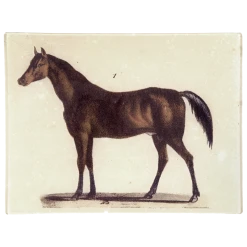 John Derian Horse #1 - FINAL SALE Classics