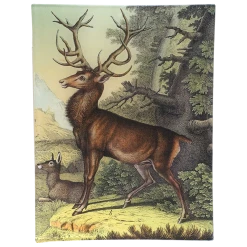 John Derian Deer B. Decoupage