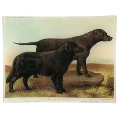 John Derian Retrievers (Black)