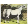 John Derian White Horse A. - FINAL SALE Animals