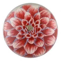 John Derian Dark Pink Dahlia