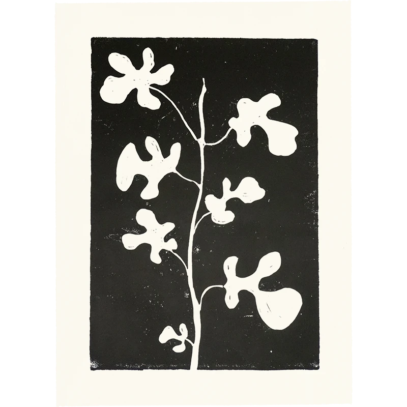 Hugo Guinness Fig 3 Hugo Guinness Fig