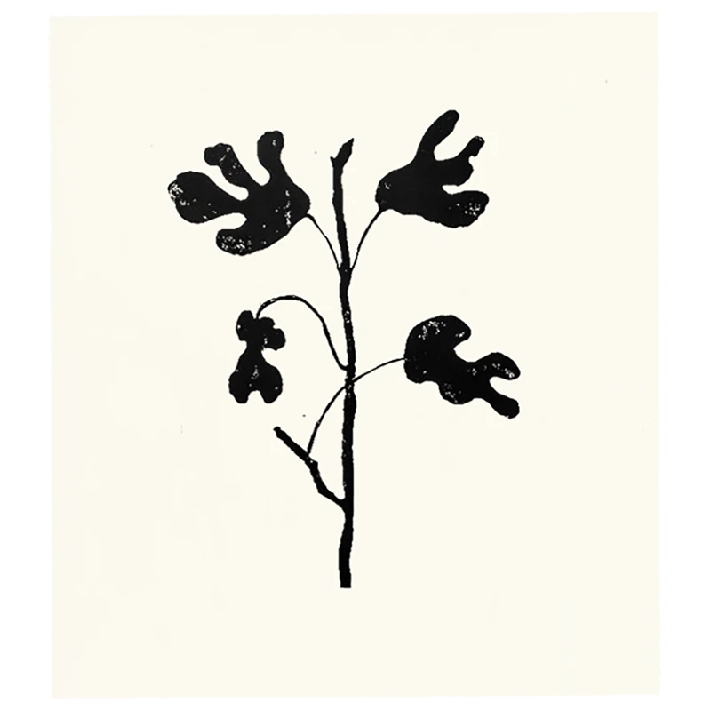 Hugo Guinness Fig Tree 3 Hugo Guinness Fig Tree