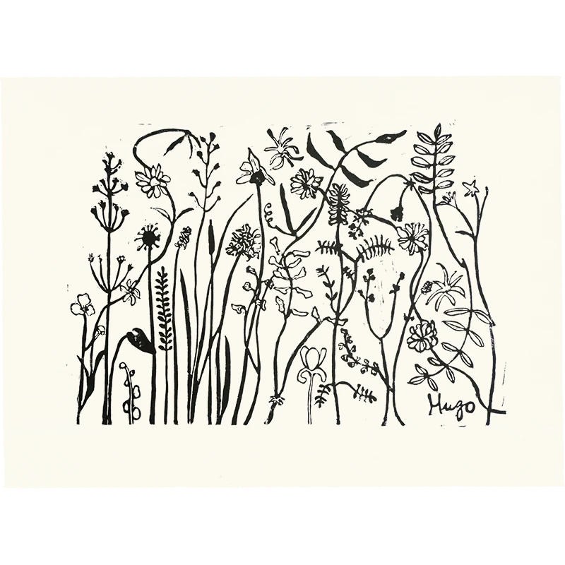 Hugo Guinness Florabunda 3 3 Hugo Guinness Florabunda 3