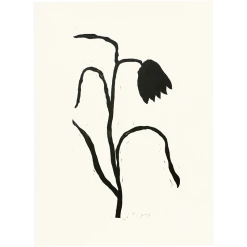 Hugo Guinness Fritillary