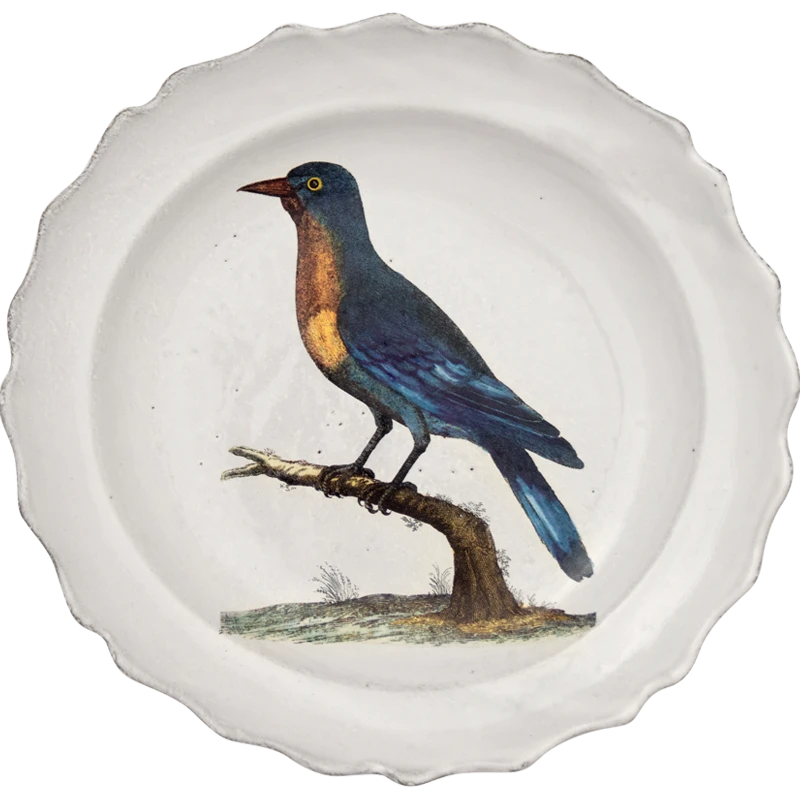 John Derian X ADV Good-Hope Jay Soup Plate Picture Book Images 3 John Derian X ADV Good-Hope Jay Soup Plate Picture Book Images