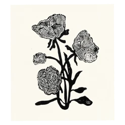 Hugo Guinness Gothic Rose