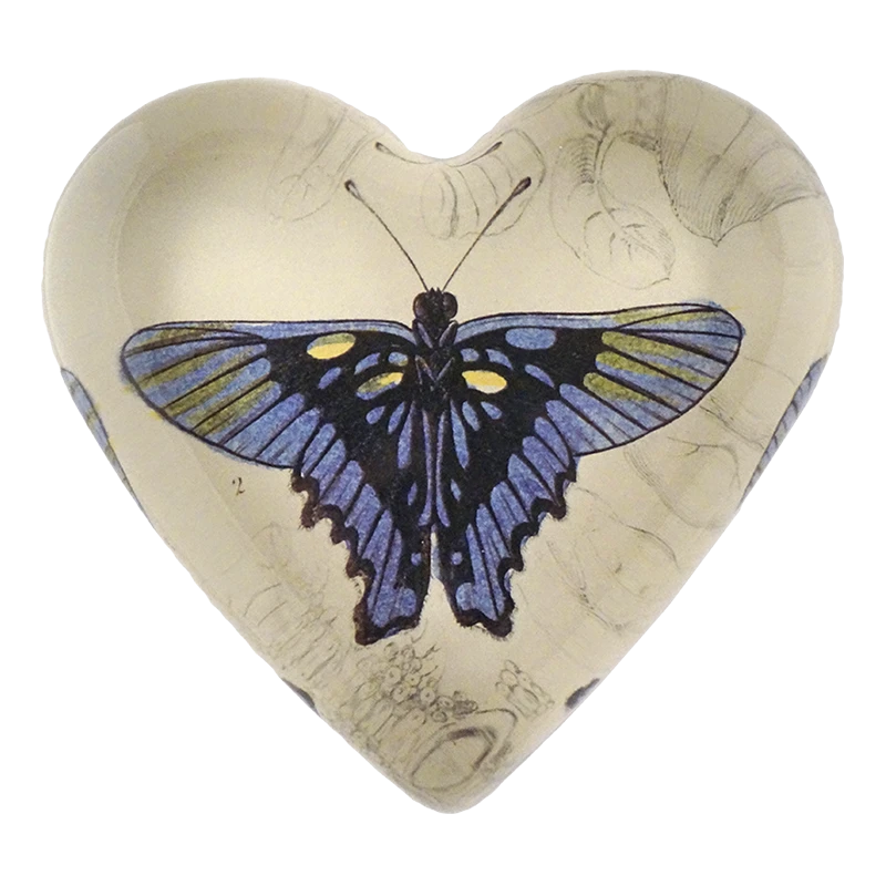 John Derian Brazil Butterfly Decoupage 3 John Derian Brazil Butterfly Decoupage