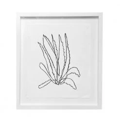 Hugo Guinness "Cactus Jack" In Custom Frame Art & Objects