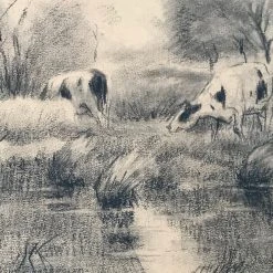Vintage Evert Rabbers Cow Drawing 11