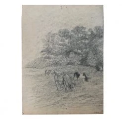 Vintage Art & Objects Evert Rabbers Cow Drawing 12