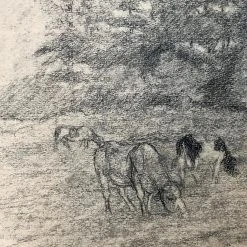 Vintage Art & Objects Evert Rabbers Cow Drawing 12