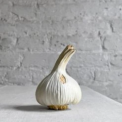 Penkridge Ceramic & Porcelain Fruit Porcelain White Garlic Bulb