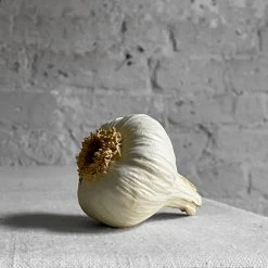 Penkridge Ceramic & Porcelain Fruit Porcelain White Garlic Bulb