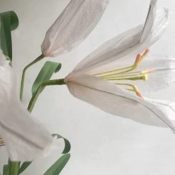 The Green Vase Potted Easter Lily
