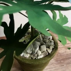 The Green Vase Potted Delphinium