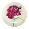 John Derian Company Inc Peony 10" Dinner Plate