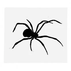 Hugo Guinness Art & Objects Black Spider - Ready To Ship
