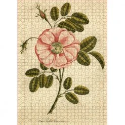 John Derian Company Inc Small Goods Garden Rose 1,000-Piece Puzzle