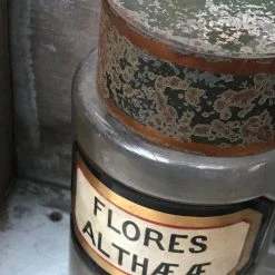 Vintage 19th Century Apothecary Jar -Flores Althææ