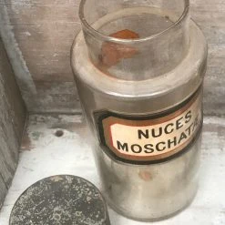 Vintage Glassware 19th Century Apothecary Jar - Nuces Moschatæ