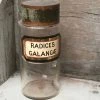 Vintage 19th Century Apothecary Jar - Radices Glangæ Glassware