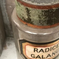 Vintage 19th Century Apothecary Jar - Radices Glangæ Glassware