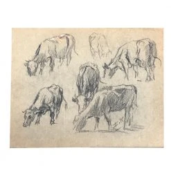 Vintage Art & Objects Evert Rabbers Animal Drawing 15