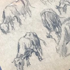 Vintage Art & Objects Evert Rabbers Animal Drawing 15