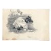 Vintage Art & Objects Evert Rabbers Cow Drawing 19