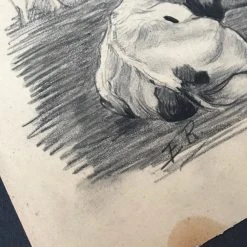 Vintage Art & Objects Evert Rabbers Cow Drawing 19