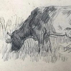 Vintage Evert Rabbers Cow Drawing 22
