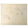 Vintage Evert Rabbers Cow Drawing 23