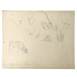 Vintage Evert Rabbers Cow Drawing 23
