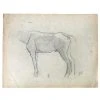 Vintage Evert Rabbers Horse Drawing 26