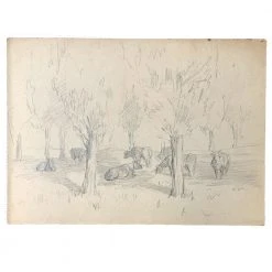 Vintage Evert Rabbers Cow Drawing 32