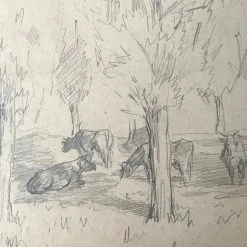 Vintage Evert Rabbers Cow Drawing 32