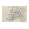 Vintage Evert Rabbers Cow Drawing 34