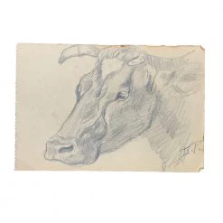 Vintage Evert Rabbers Cow Drawing 34