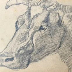 Vintage Evert Rabbers Cow Drawing 34