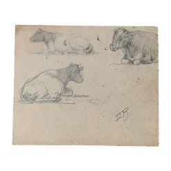 Vintage Art & Objects Evert Rabbers Cow Drawing 35