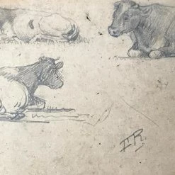 Vintage Art & Objects Evert Rabbers Cow Drawing 35