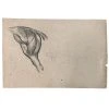 Vintage Art & Objects Evert Rabbers Horse Drawing 43